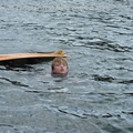 20091017 Wakeboarding Shoalhaven River  30 of 56 
